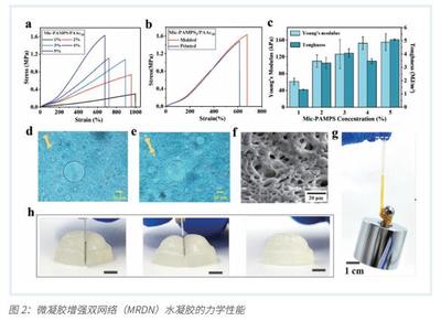 3D打印微結構水凝膠傳感器 開啟可穿戴智能醫療設備制造新篇章
