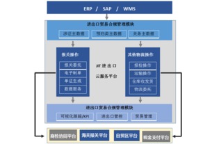 上海進出口業務中的軟件公司 如何借助本土軟件開發提升競爭力